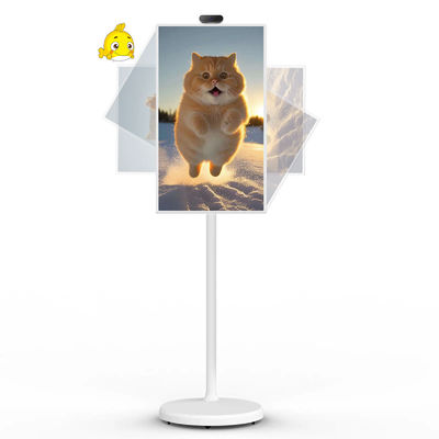 качество  21" Android 12 System Stand By Me TV Smart Broadcast Machine Touch Screen завод